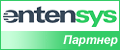 entensys